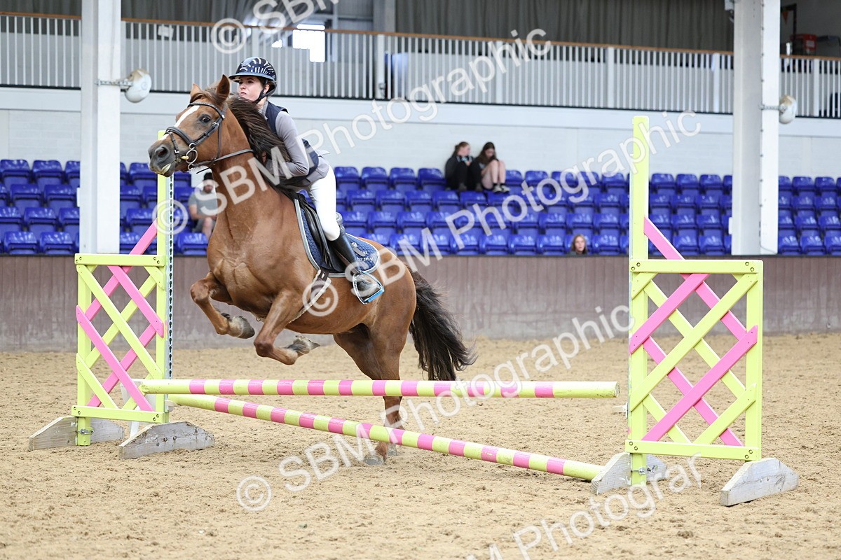 SBM_007779 - Class 3 - 60cm showjumping