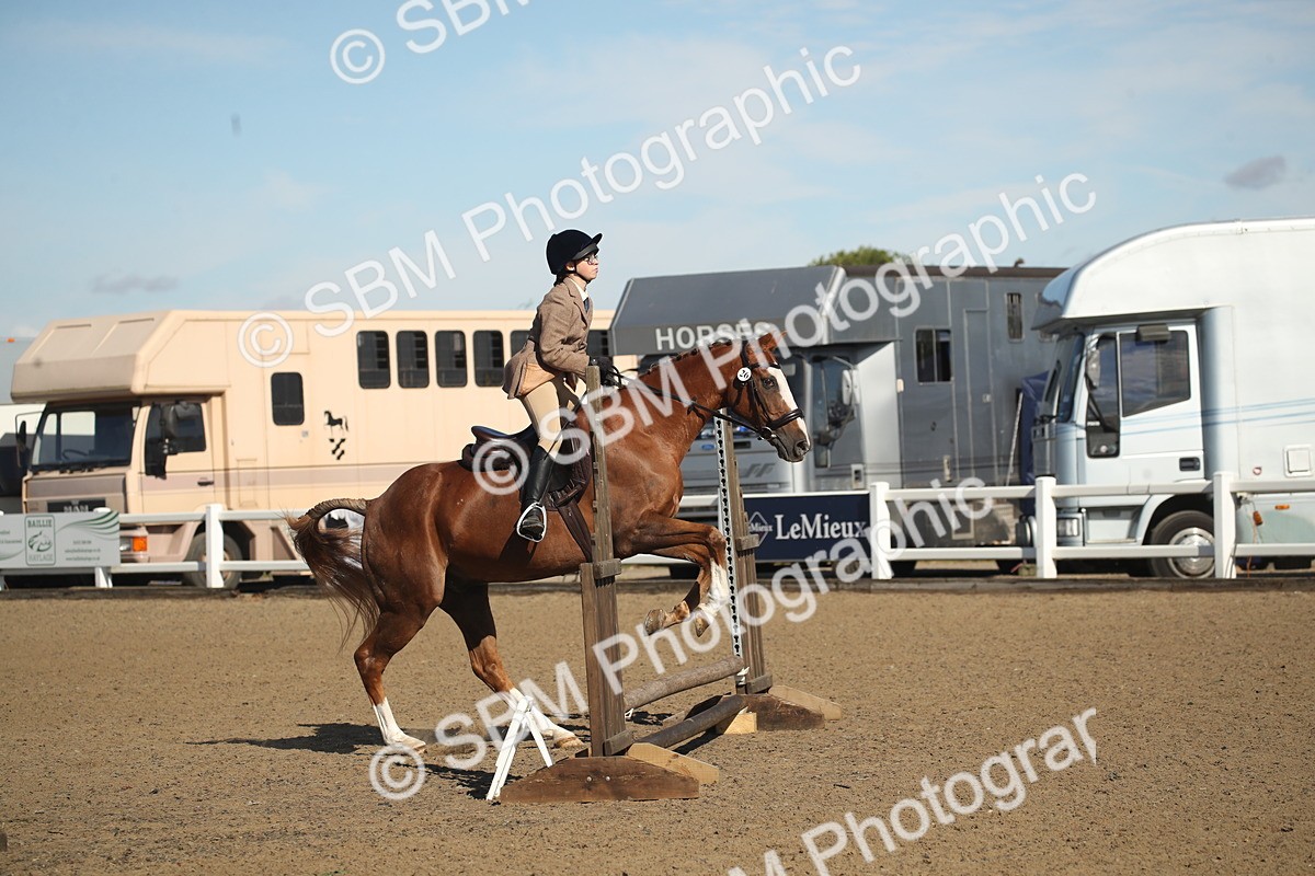 SBM_12719 - Class 504b - Junior Working Veteran - 40cm (20+)