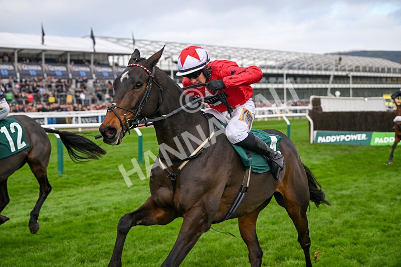 161124-Race 2-The Newest One-9686 - Race 2