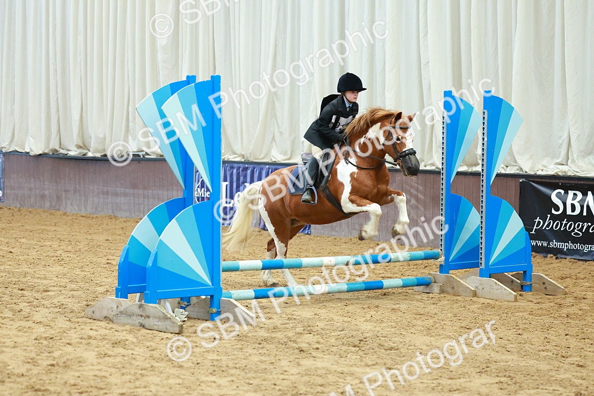 SBM_005587 - Class 2 - 50cm