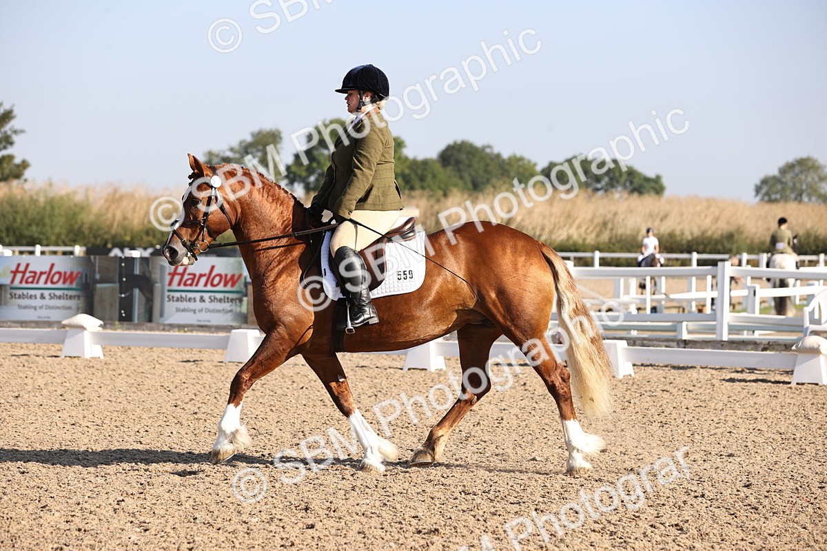 SBM_01649 - Class 34 Prelim 3