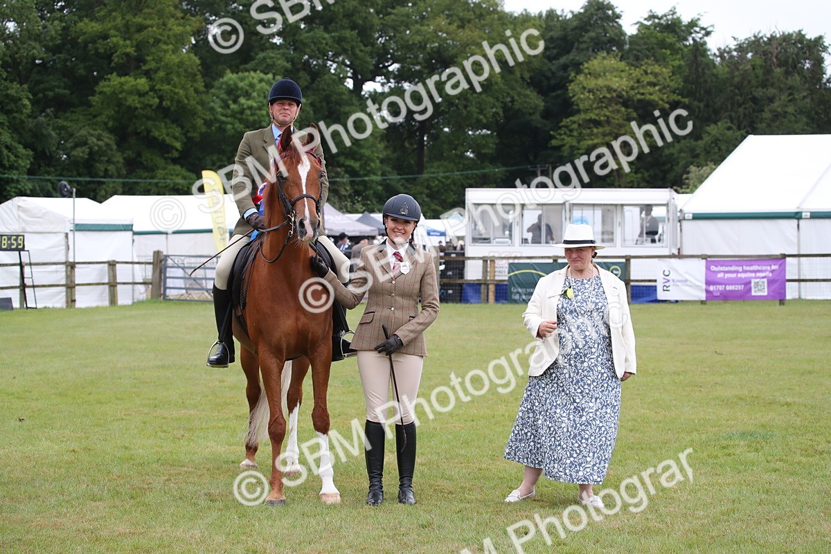 SBM_03650 - Class 21 - 22 - Ridden Arab and Part Bred/Anglo Arab