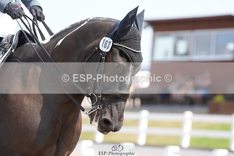 250817-122426-09056 - 163-Hannah.TownleyThe.Domino.Effect