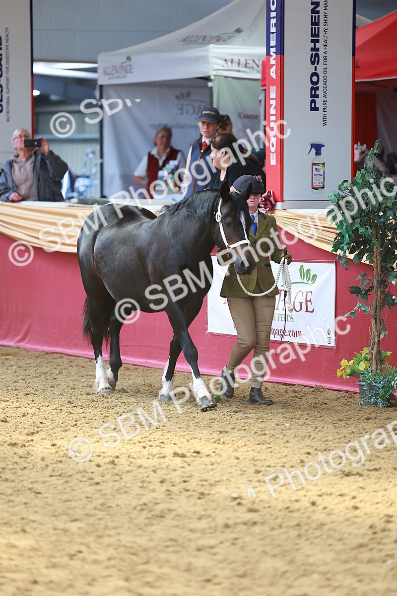 SBM_04088 - Class 9R - IH Pre-Vet