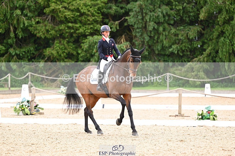 240524-092030-07800 - 504-LORDSHIPS_GRAFFALO-Rosalind_Canter