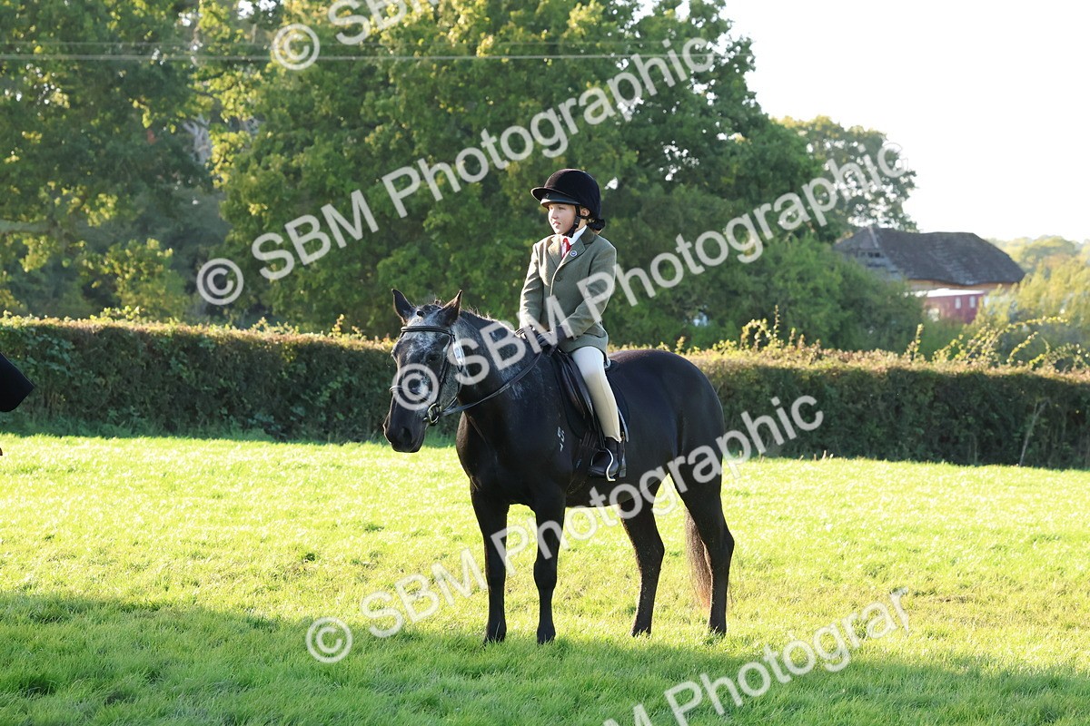 SBM_53085 - S29 - Mature Veteran Ridden