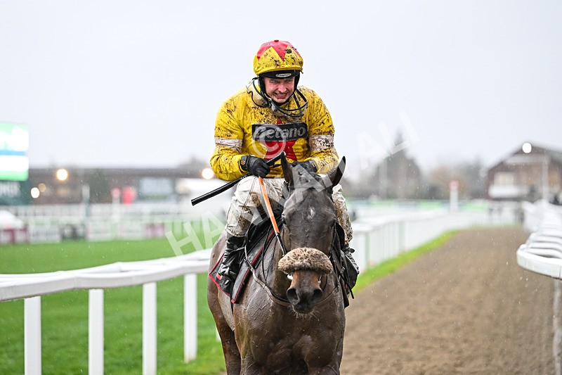 141125-Race 3-Wade Out-0029 - Race 3