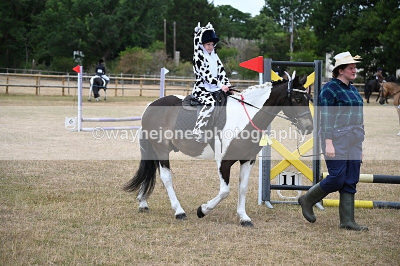 WJ6_8645 - Class 11 Fancy Dress