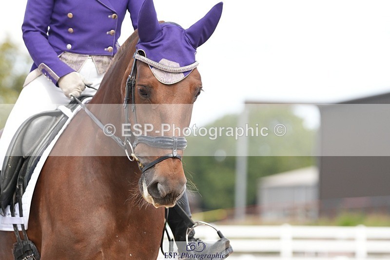 250906-131720-03577 - 017-Natalie.RosewarnePenpont.Fancy.That