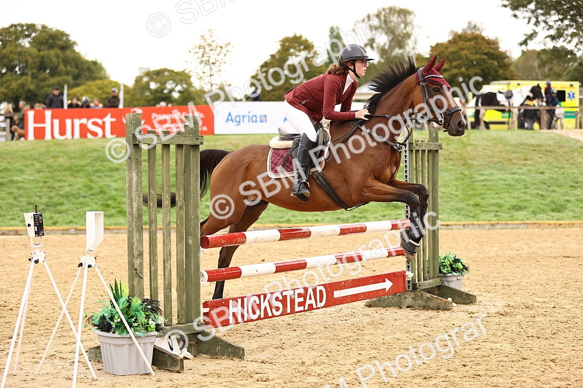 SBM_58336 - J41 - Grand Tour Horse & Pony 95cm