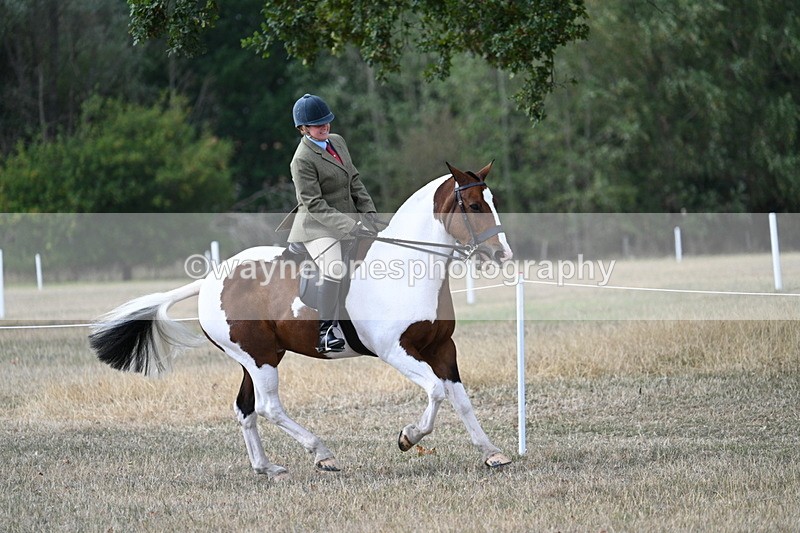 WJ7_7210 - Class 14 Ridden Coloured