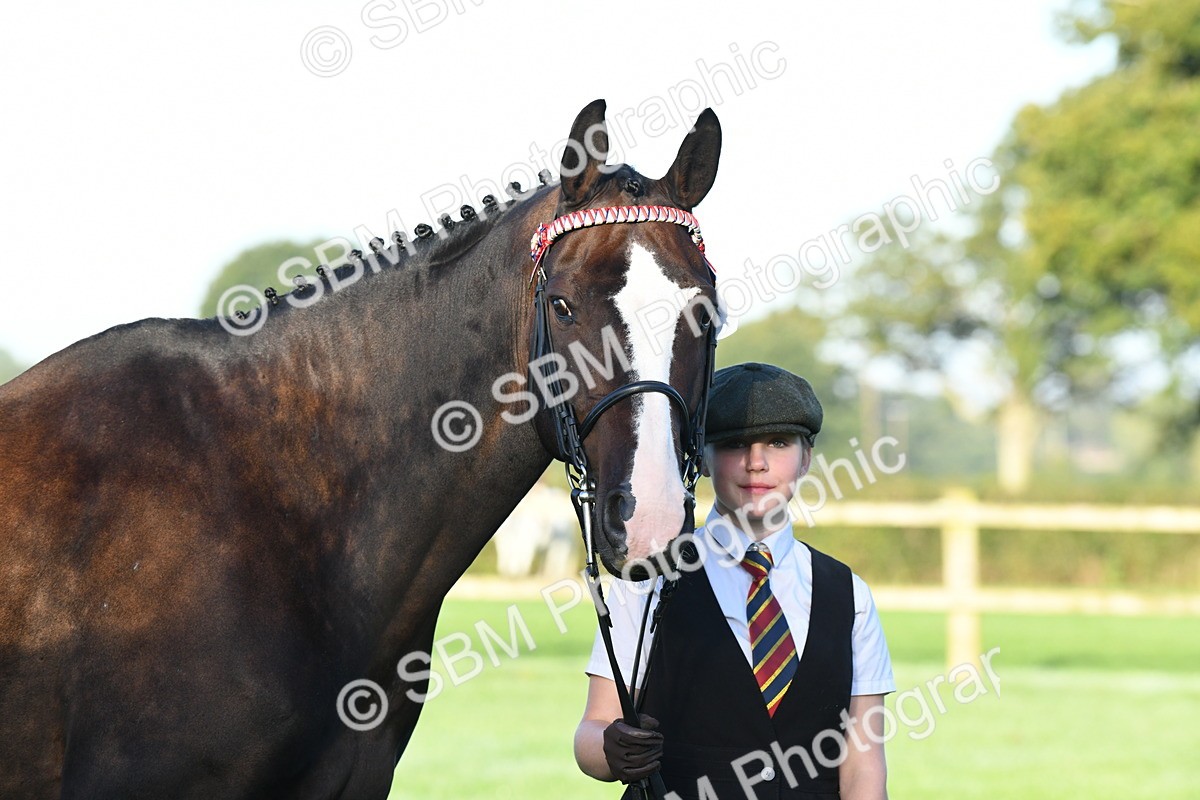 SBM_32645 - S15 - Condition & Turnout In Hand