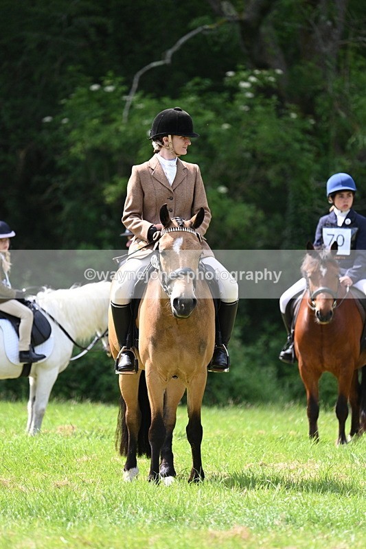 WJ7_1591 - Class 11 Condition & Turnout