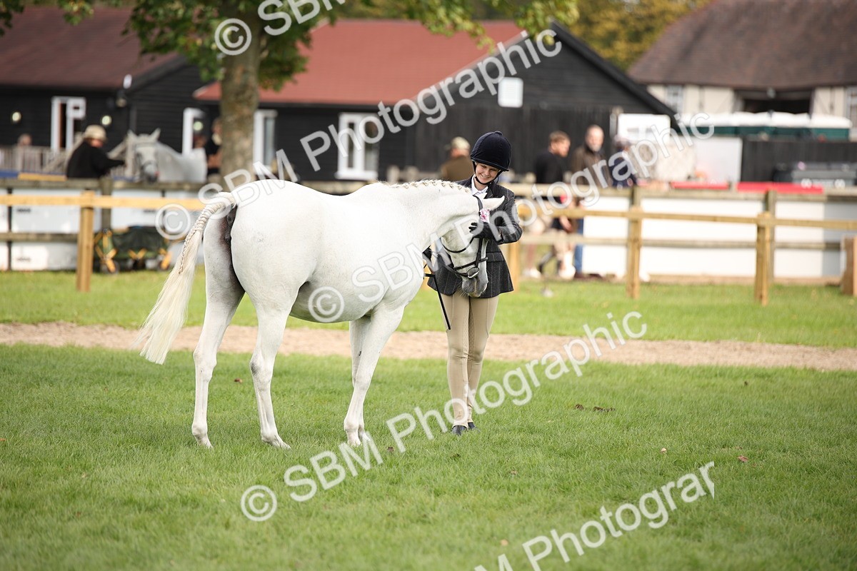 SBM_44505 - S24 - Young Veteran in hand