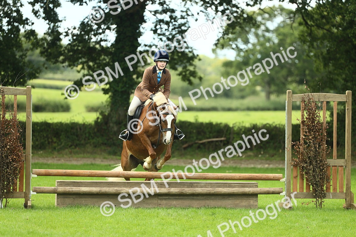 SBM_42823 - S30 - M&M Working hunter Pony
