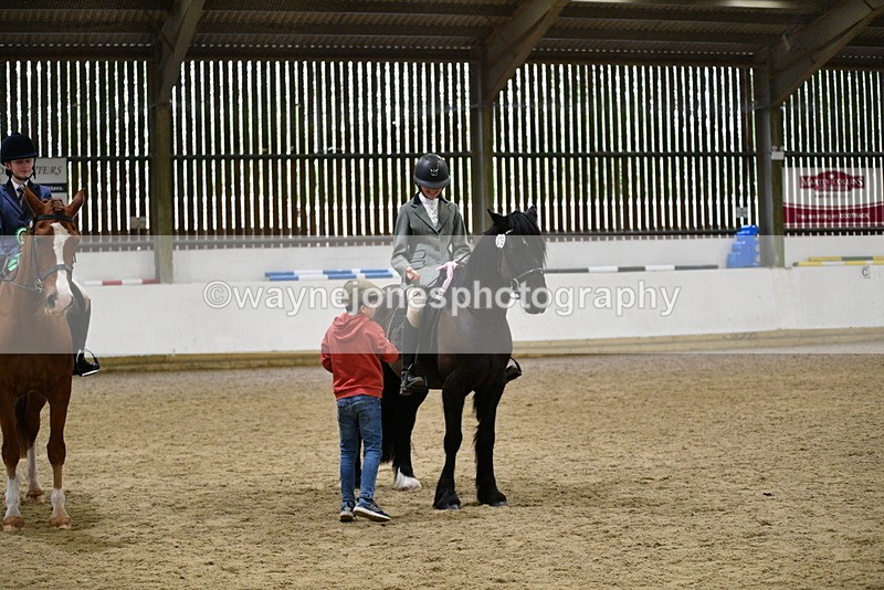 WJ5_8085 - Class 13 Ridden Part Breed