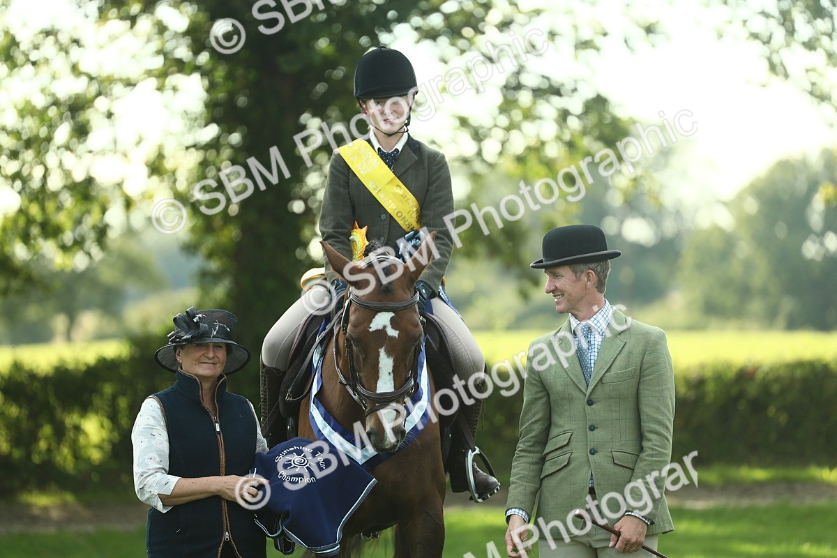 SBM_52310 - Working Hunter Supreme Championship