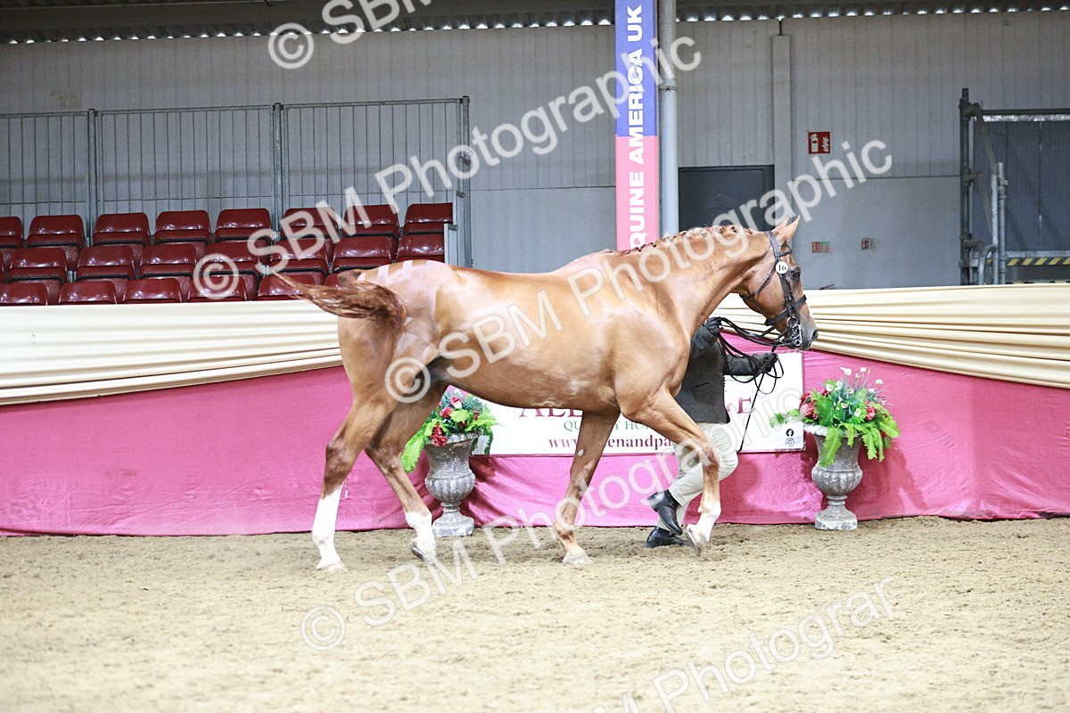 SBM_06636 - Regional - IH Champs