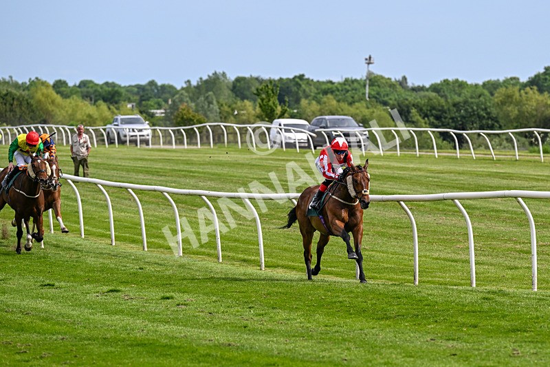 300526-Race 5-Holbache-0663 - Race 5 16.12pm Ann Whitehouse Memorial Veterans' Handicap