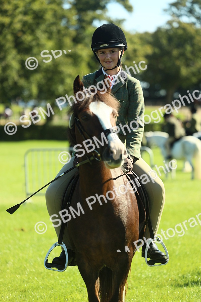 SBM_39052 - S29 - Novice & Newcomers Working Hunter Pony