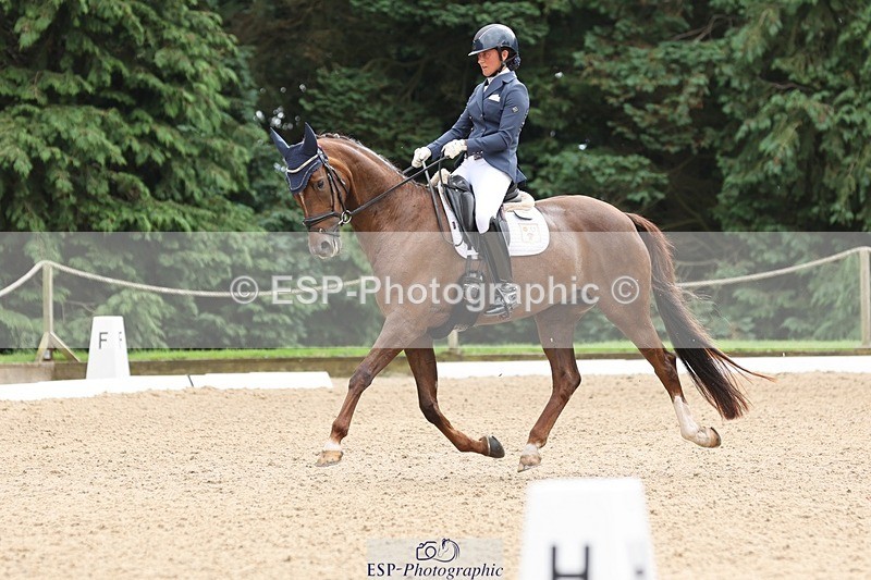 240810-134101-03482 - 122-Alicia.Prim-Sapphire.Blue