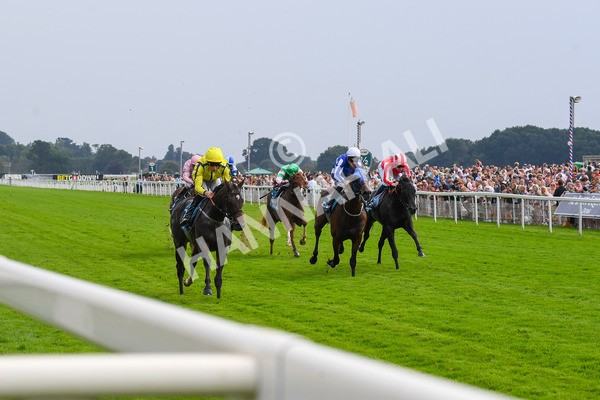 100923-Race 4-Tropical Island-0770 - Race 4 3.15pm Edge Windows Nursery Handicap at York