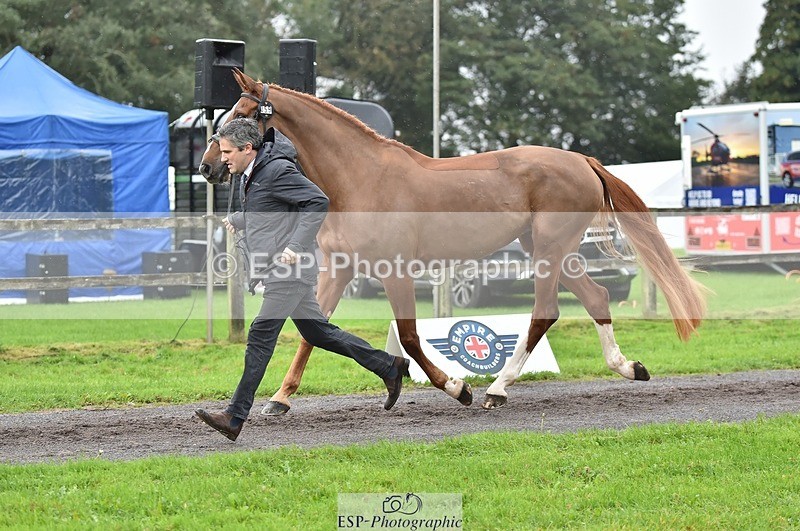 231018-124434-00485 - 059-MINNIE.MANOEUVREZ-Mark.Ford-TrotUp