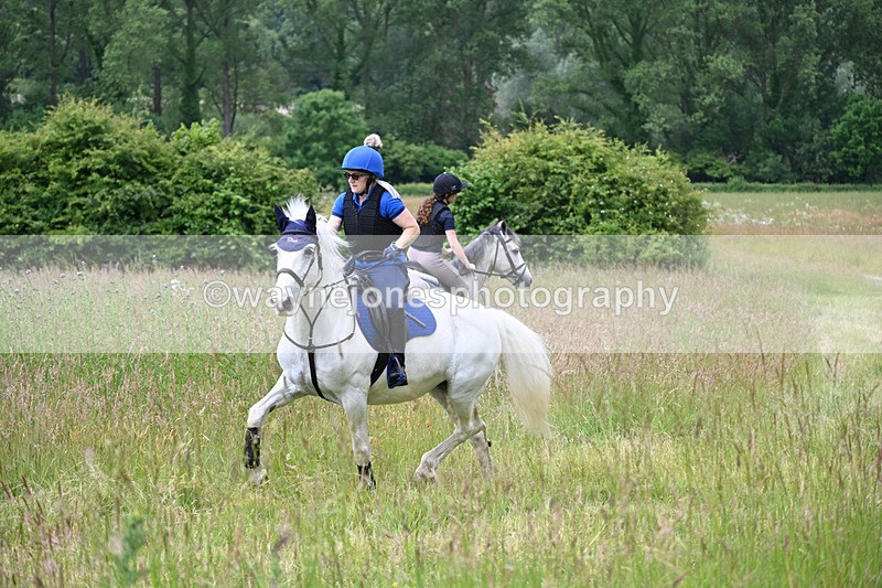 WJ6_7967 - Camera 1 Gallops