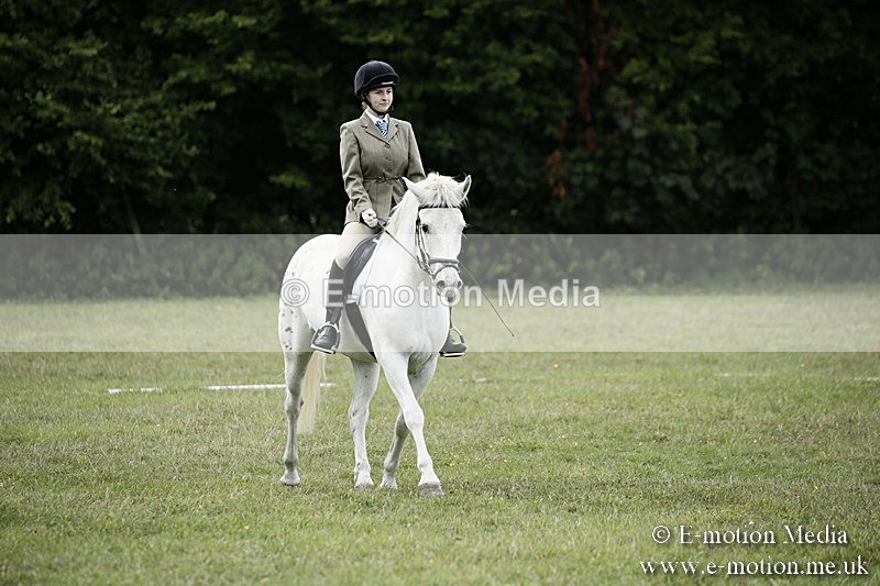 BVR080918 364 - BVRC Novice Dressage & CR 08/09/18