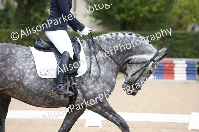 20250820-0795 - Class 15 - Novice 4