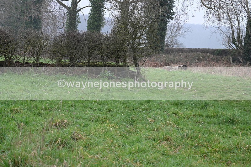 WJ7_0281 - Line 2 cam A