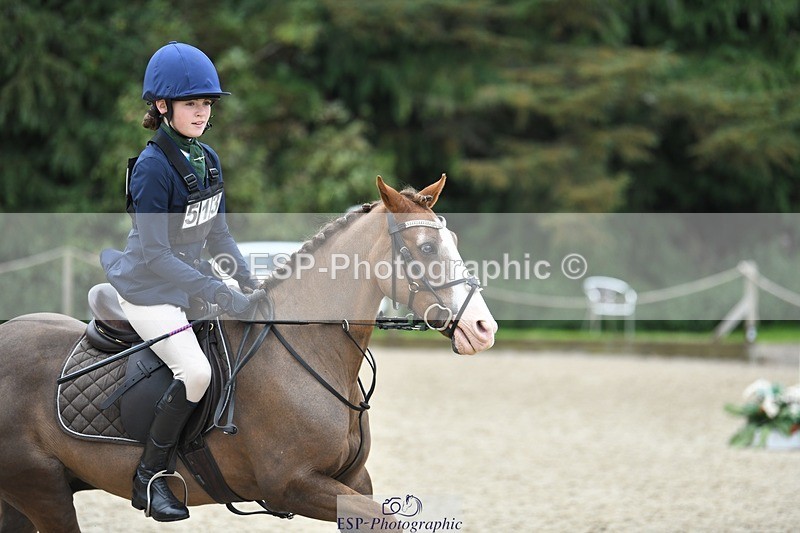 230827-114025-24149 - SJ 11.30 to End