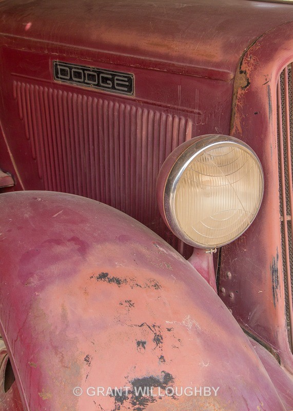  - Detail in the land
