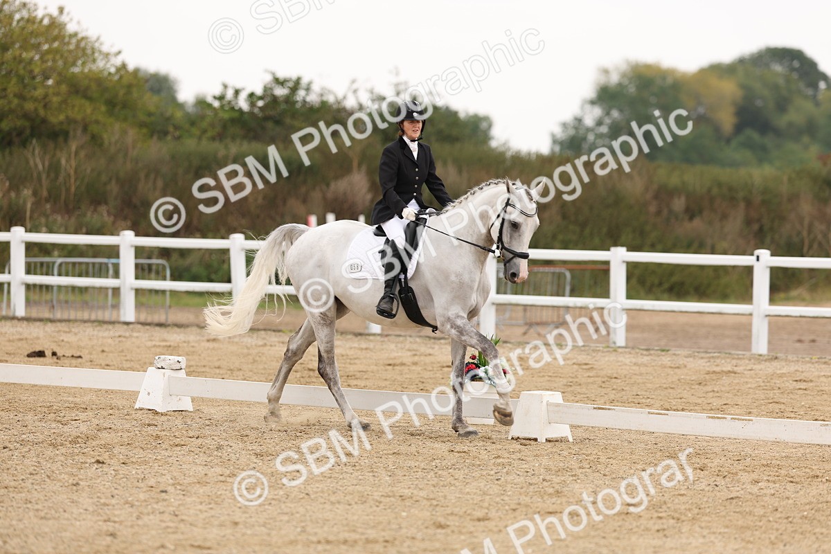 SBM_01770 - Class 9 - Novice 27 Champs