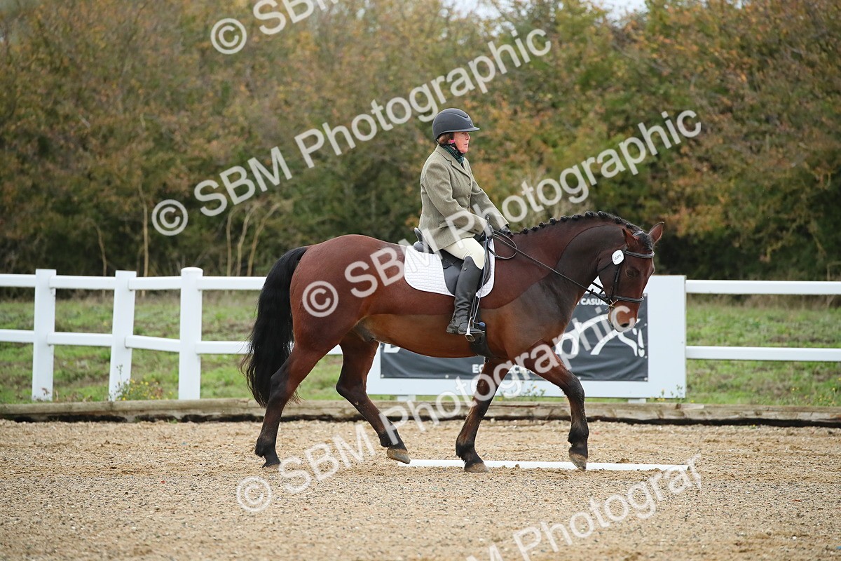 SBM_000392 - Intro 2