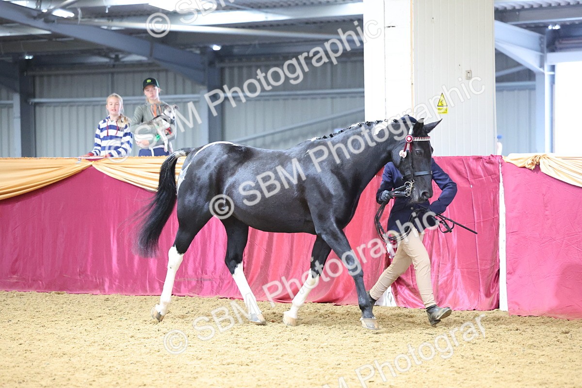 SBM_22790 - Class 903 - Supreme Final - IH Pre Vet