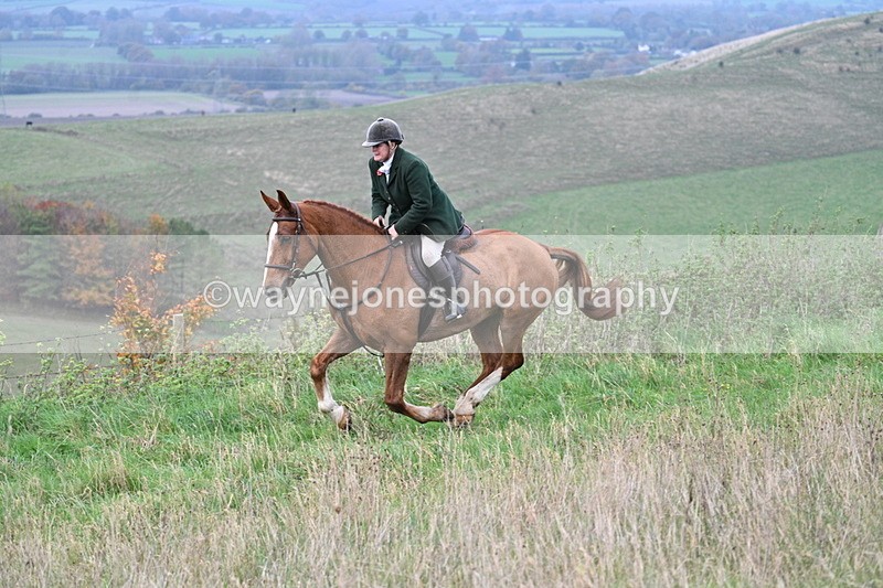 WJ7_9876 - Camera 1 & Last fence