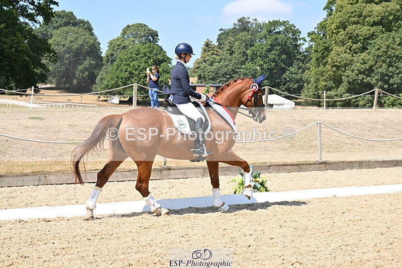 250810A-123435-06424 - Adv Medium GOLD Presentations