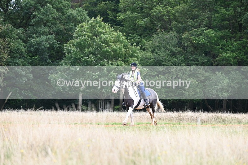 DSC_6885 - Time at Statue 12:45 to 13:15