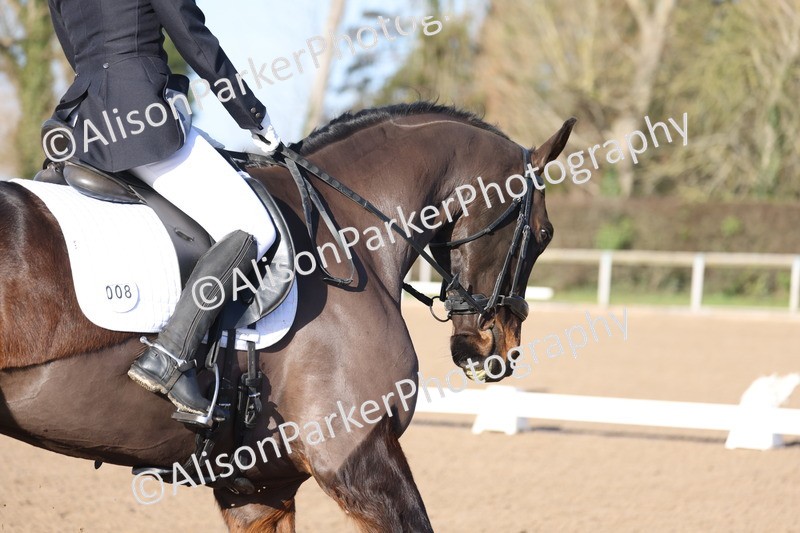 20260128-0239 - Class 3 - Novice 4