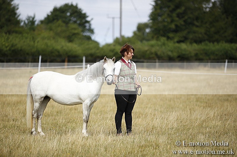 _C7A9642 - BVRC Sow 2018 Ring 2