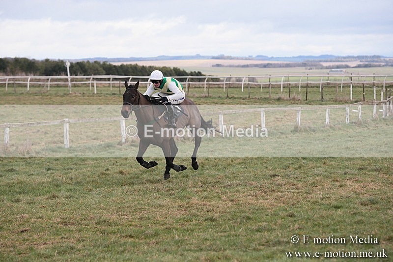 PtP 230119 171 - Royal Artillery Point-to-Point  - Larkhill  - 26/01/19