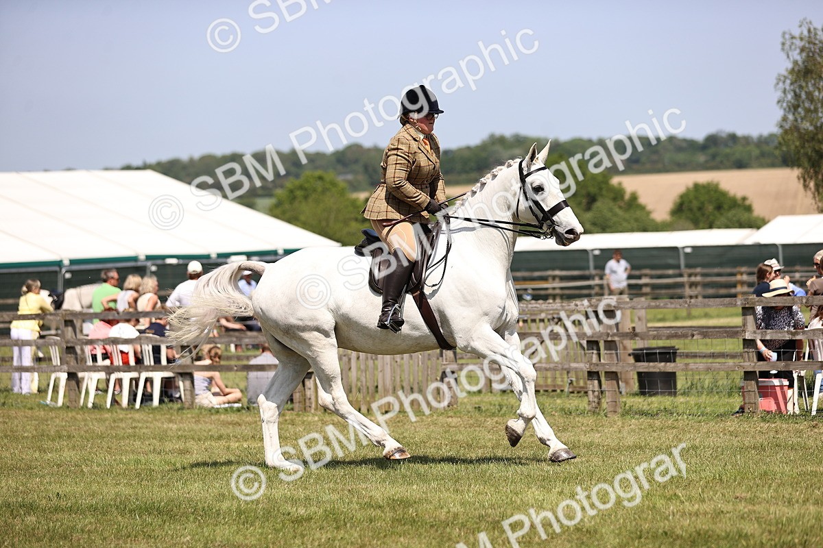 SBM_16102 - Class 79-80 - LIHS BSHA Rising Star Ridden Hunter