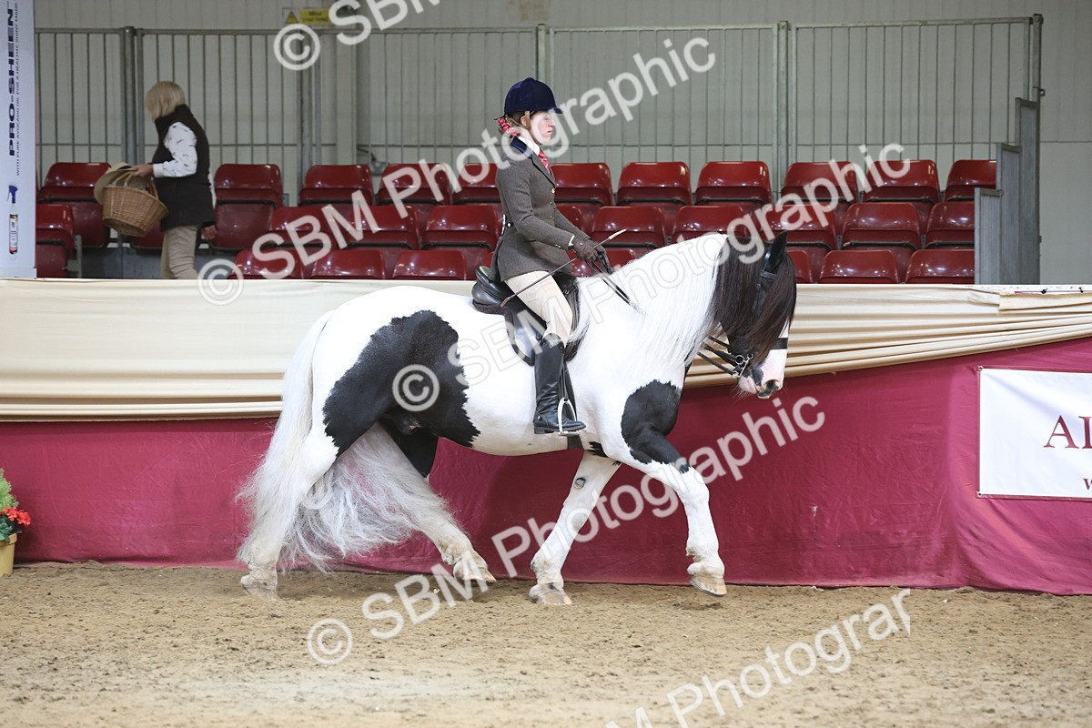 SBM_23706 - class 906 - Supreme Final - Ridden Pre Vet
