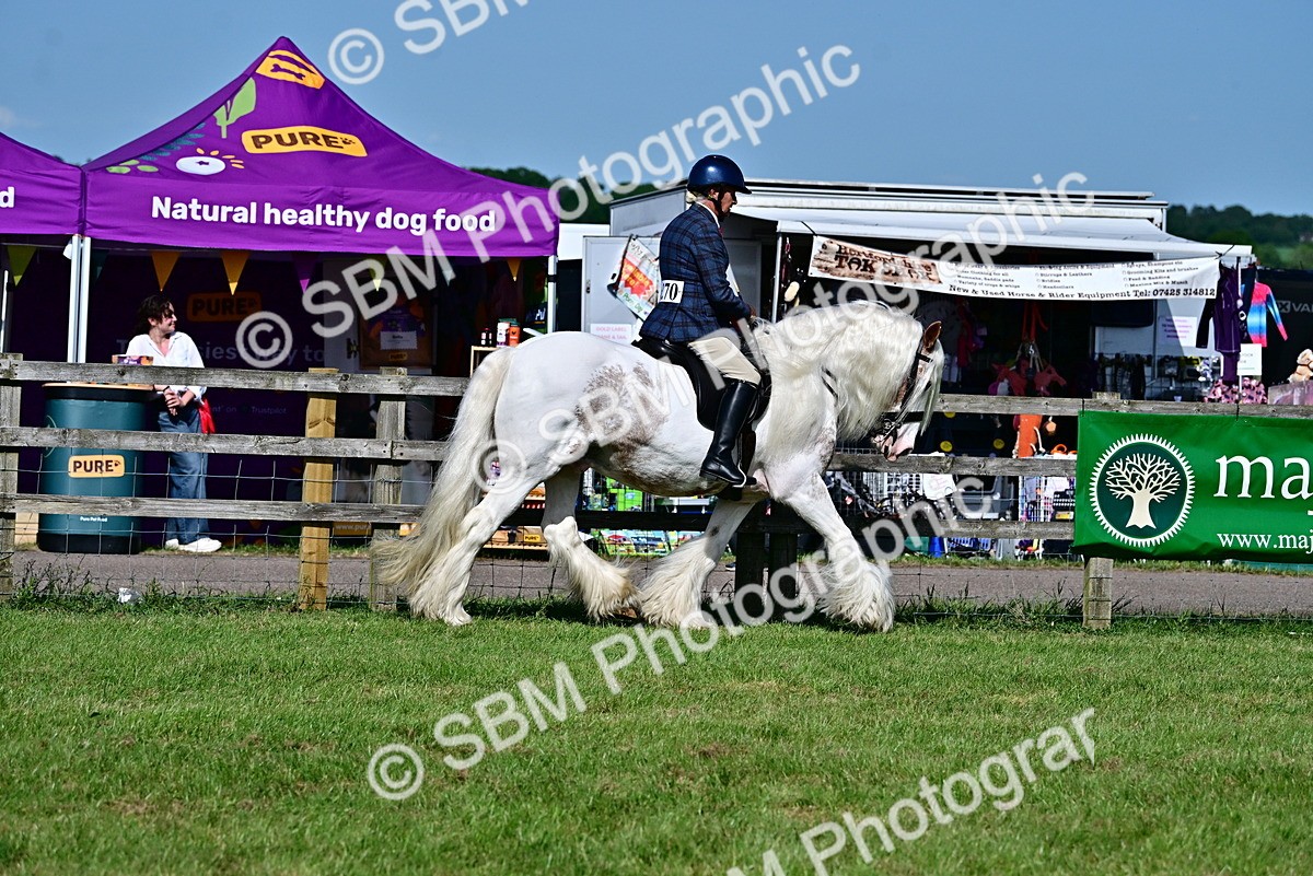 SBM_09471 - Class 63-65 - Traditional Gypsy Cobs In Hand & Ridden