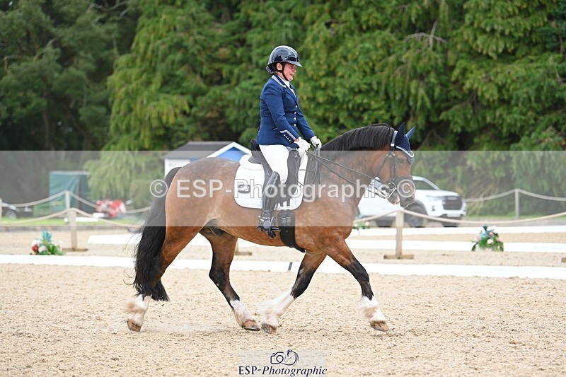 230813-142115-07737 - Cls 13 Medium Bronze 13.15 to End