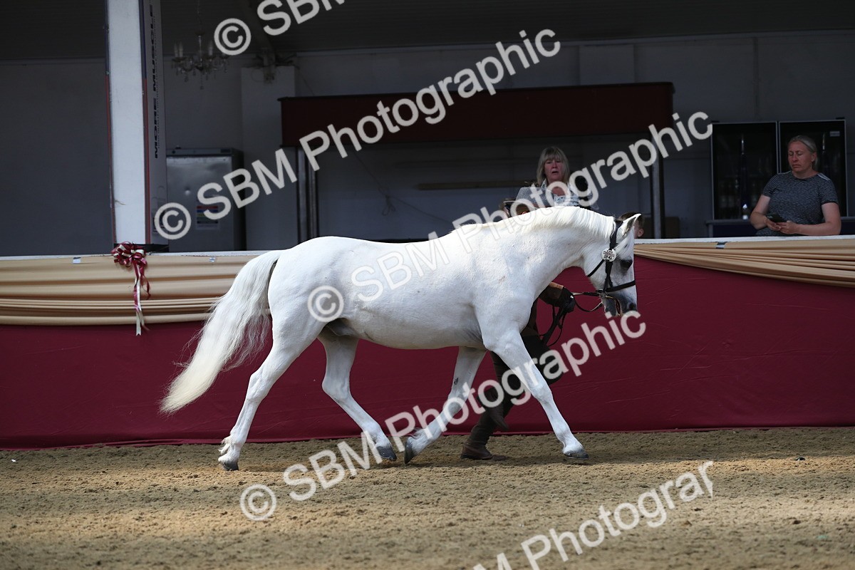 SBM_15247 - Class 501 M&M IH Supreme Final