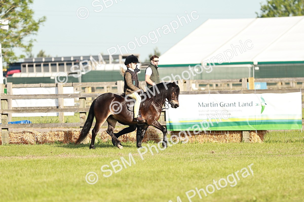 SBM_11060 - Class 106-107 - BSPS LIHS Working Sports Pony