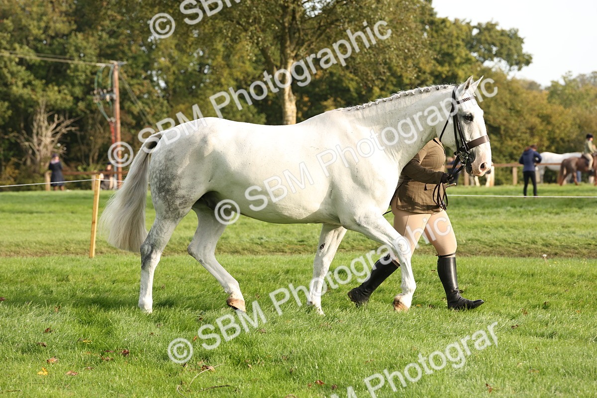 SBM_54681 - S53 - Hunter In Hand