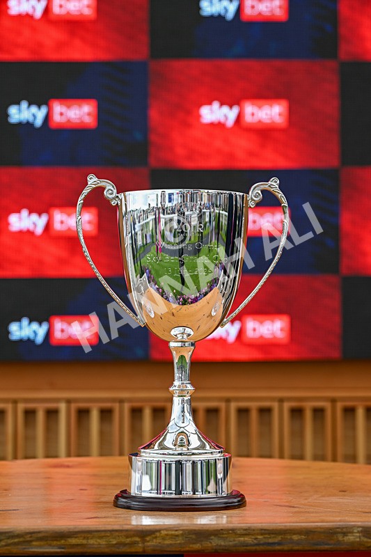 130626-Race 3-Gregory-1178 - Race 3 15.00pm Sky Bet Race To The Ebor Grand Cup Stakes